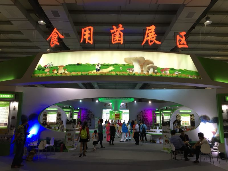 旺财28官网-追求健康,你我一起成长