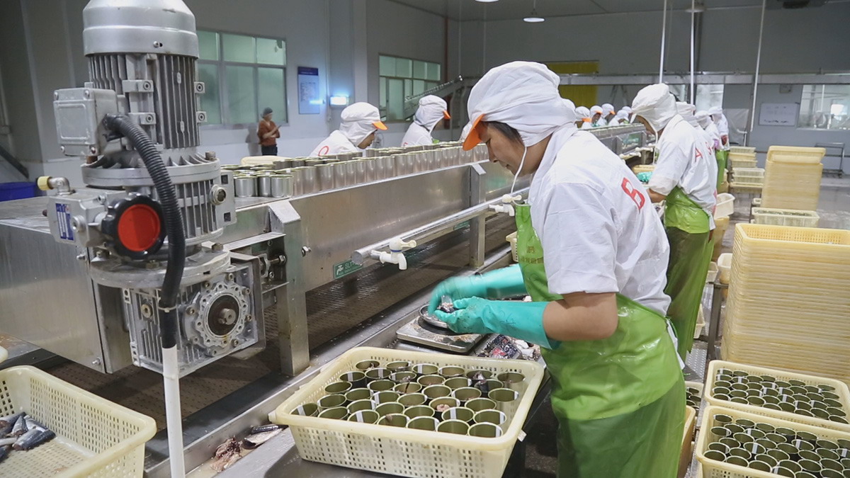 旺财28官网-追求健康,你我一起成长