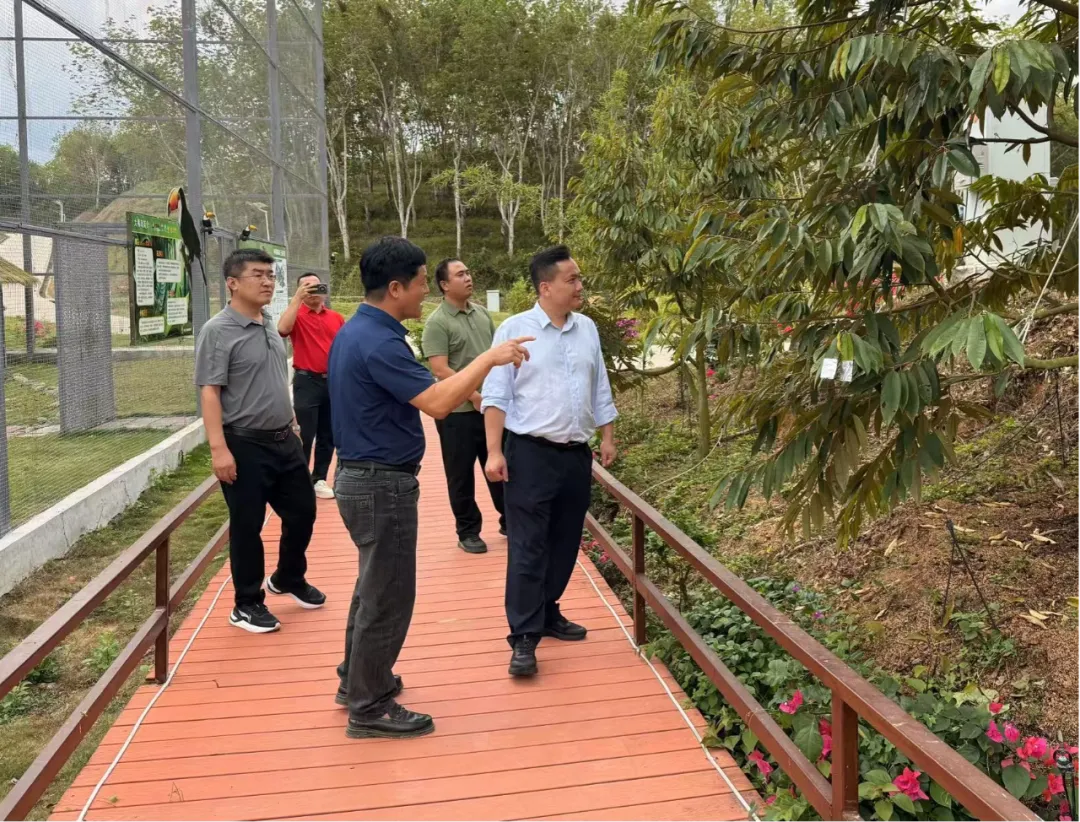 蔡克洪赴立才、金江基地分公司调研