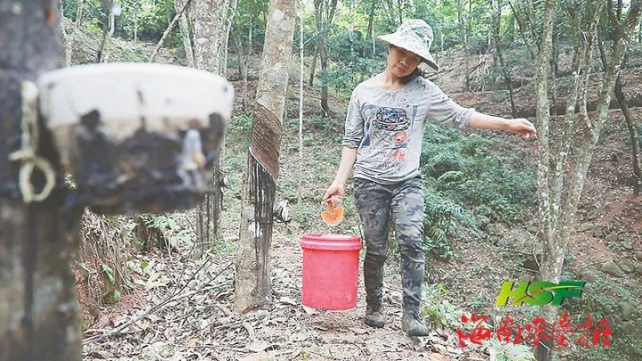 多多28·(中国平台)官方网站