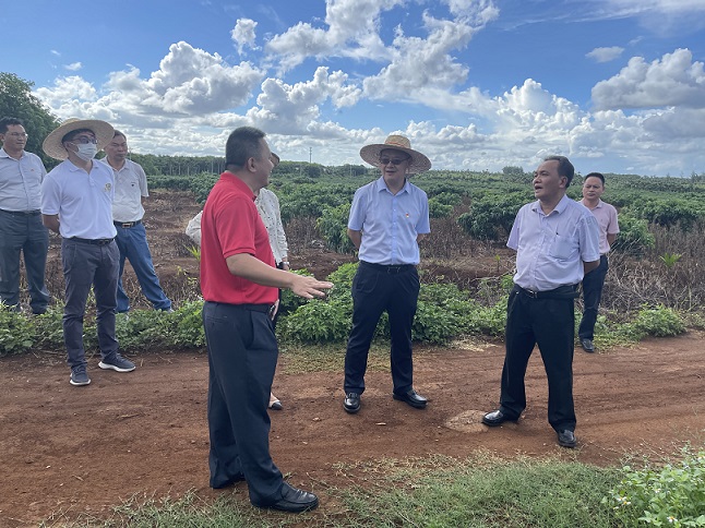 多多28·(中国平台)官方网站