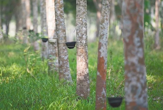 多多28·(中国平台)官方网站