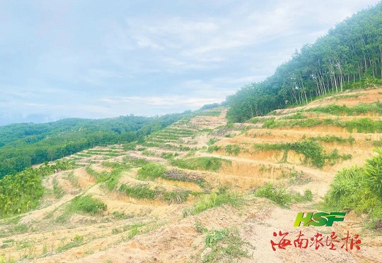 多多28·(中国平台)官方网站