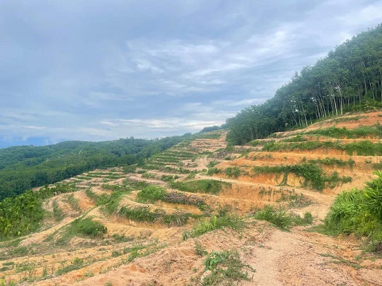 多多28·(中国平台)官方网站