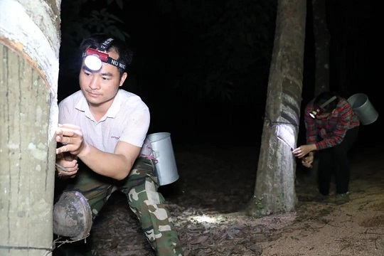 多多28·(中国平台)官方网站