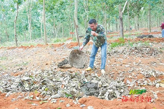 多多28·(中国平台)官方网站