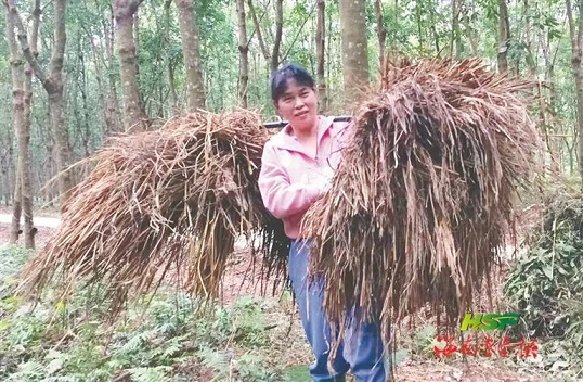 多多28·(中国平台)官方网站