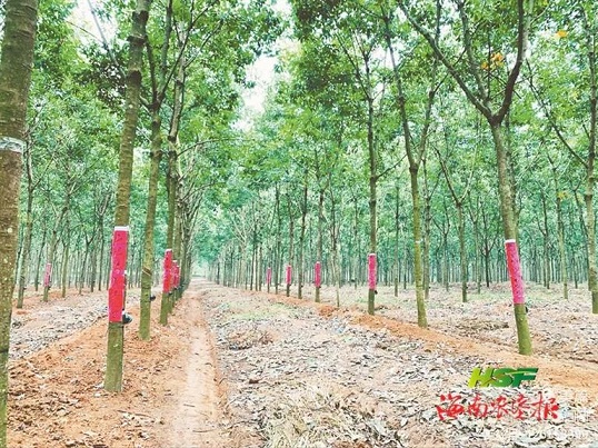 多多28·(中国平台)官方网站