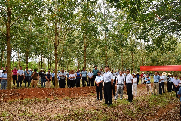 多多28·(中国平台)官方网站