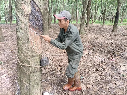 多多28·(中国平台)官方网站