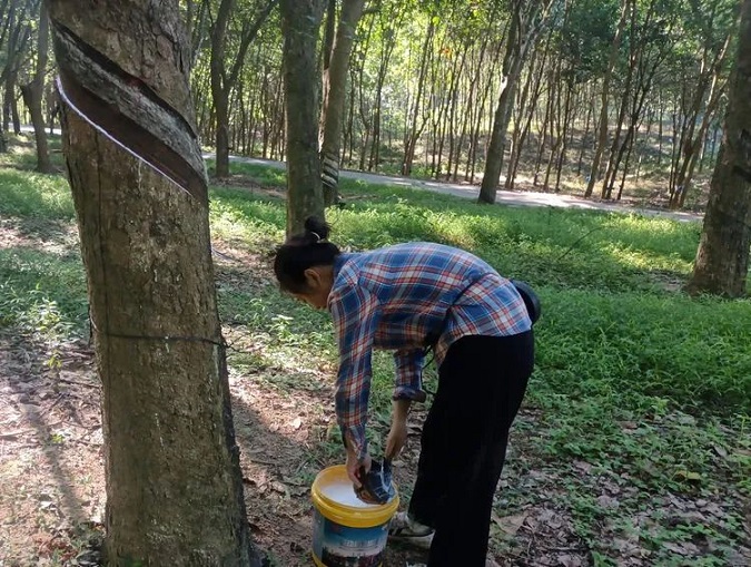 多多28·(中国平台)官方网站