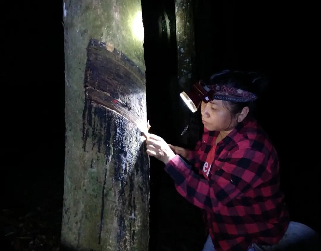 多多28·(中国平台)官方网站