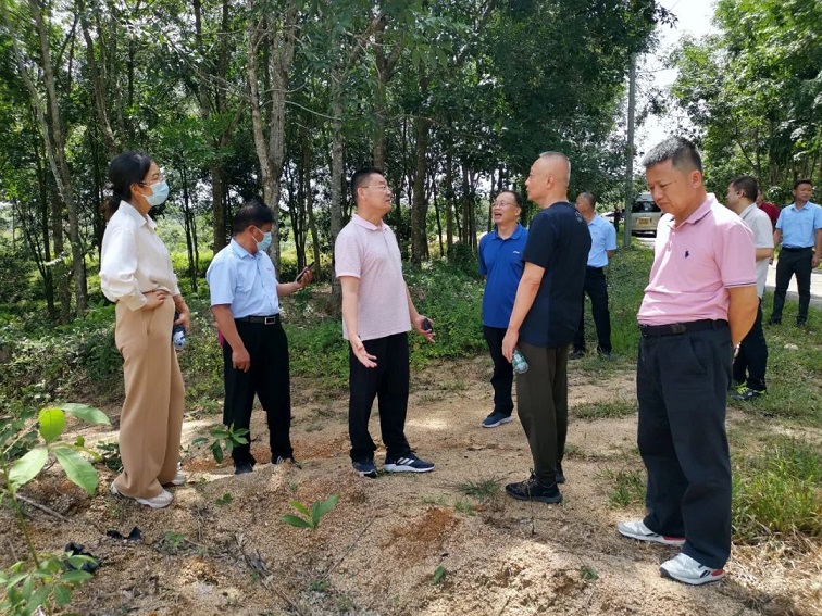 多多28·(中国平台)官方网站