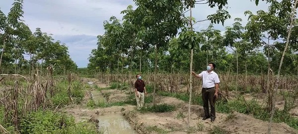 多多28·(中国平台)官方网站