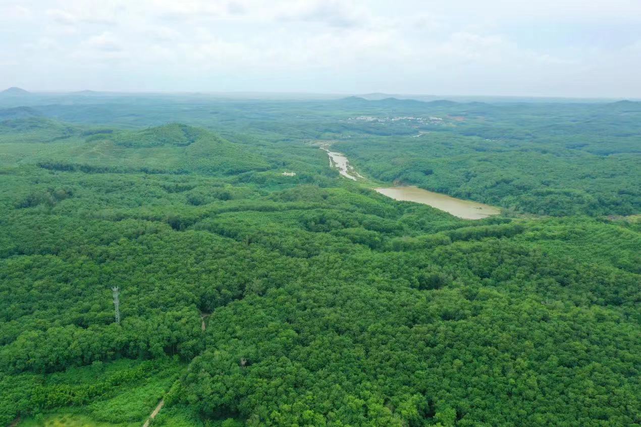 多多28·(中国平台)官方网站