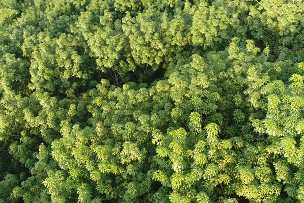 多多28·(中国平台)官方网站