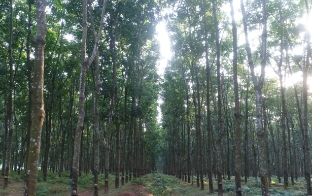 多多28·(中国平台)官方网站