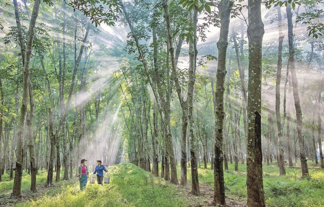 多多28·(中国平台)官方网站