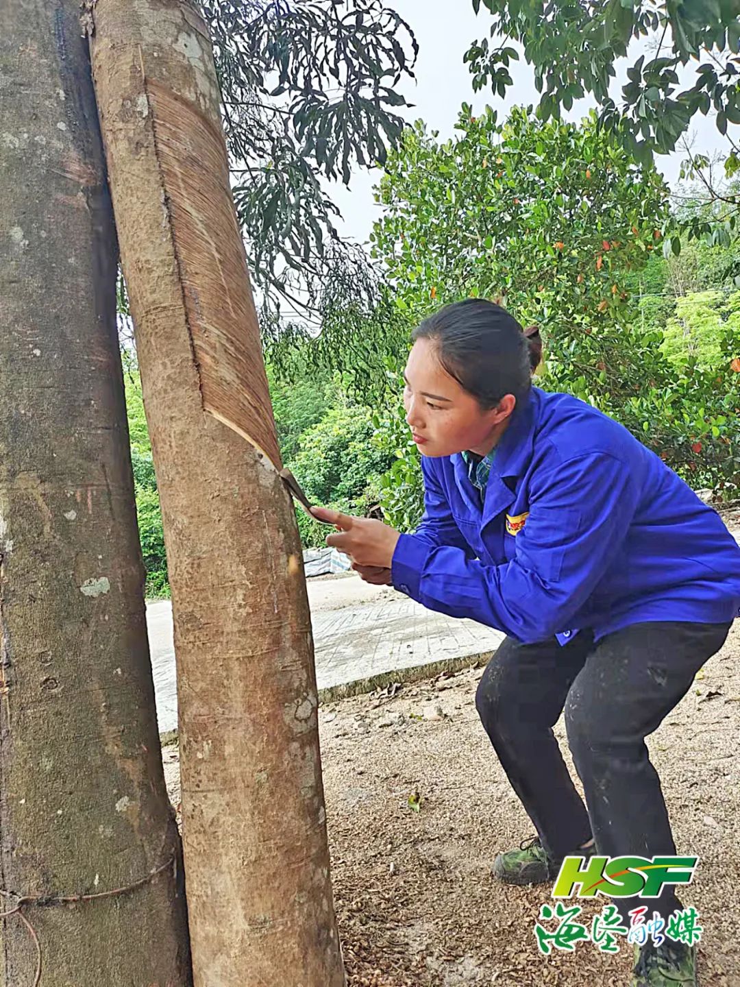 多多28·(中国平台)官方网站
