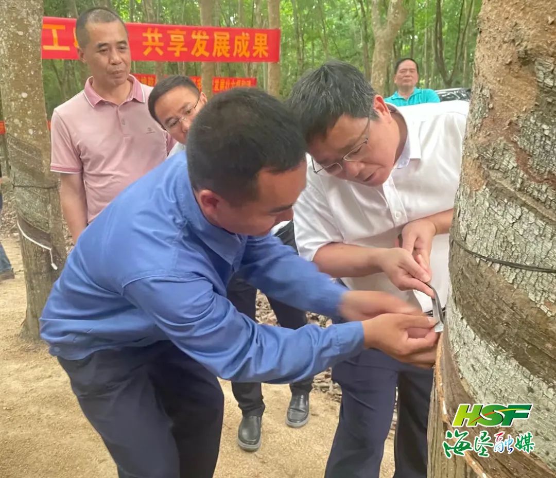 多多28·(中国平台)官方网站