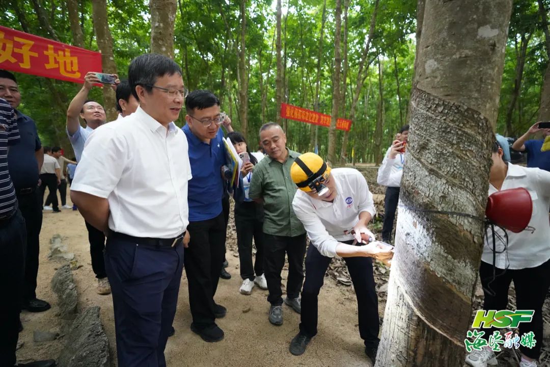 多多28·(中国平台)官方网站