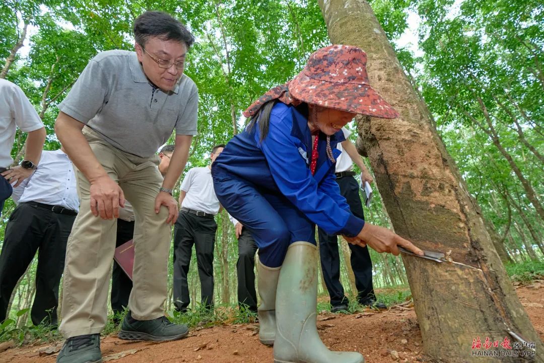 多多28·(中国平台)官方网站