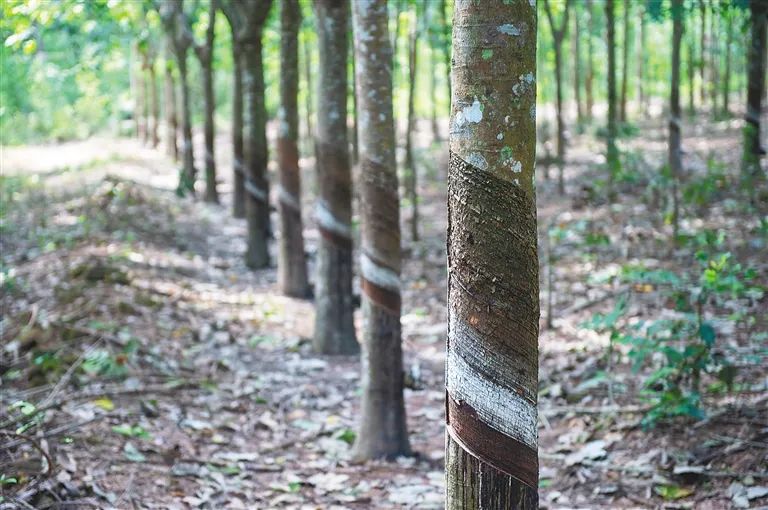 多多28·(中国平台)官方网站