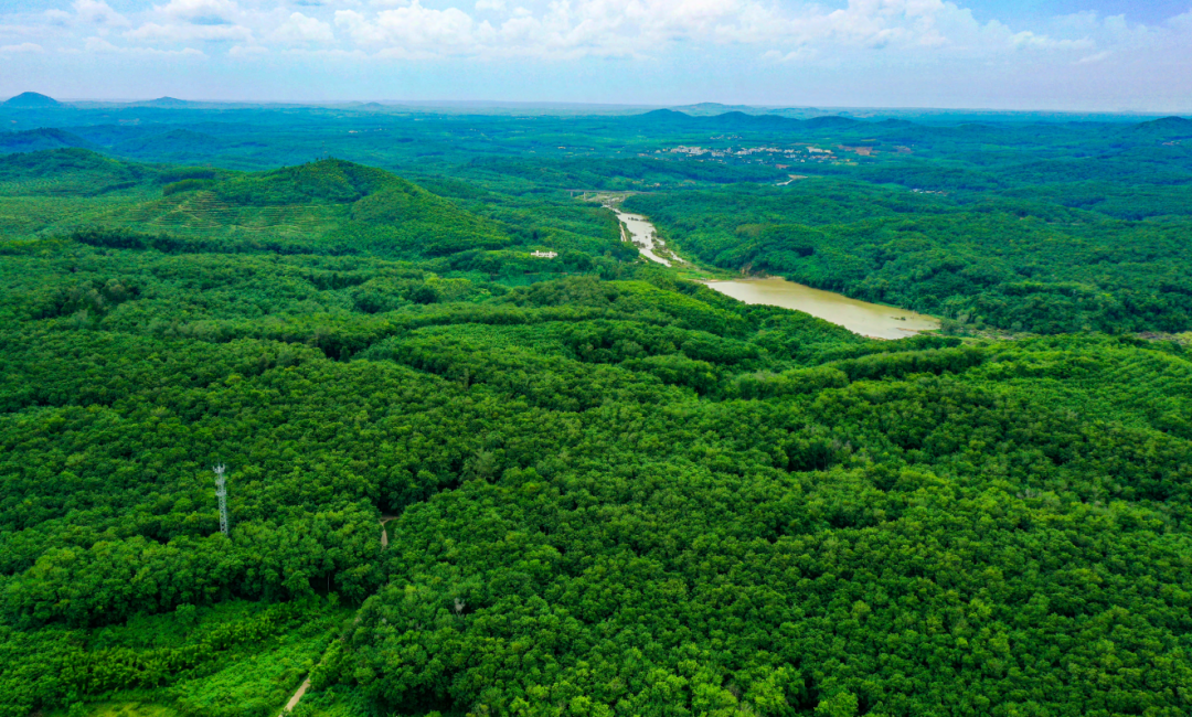多多28·(中国平台)官方网站