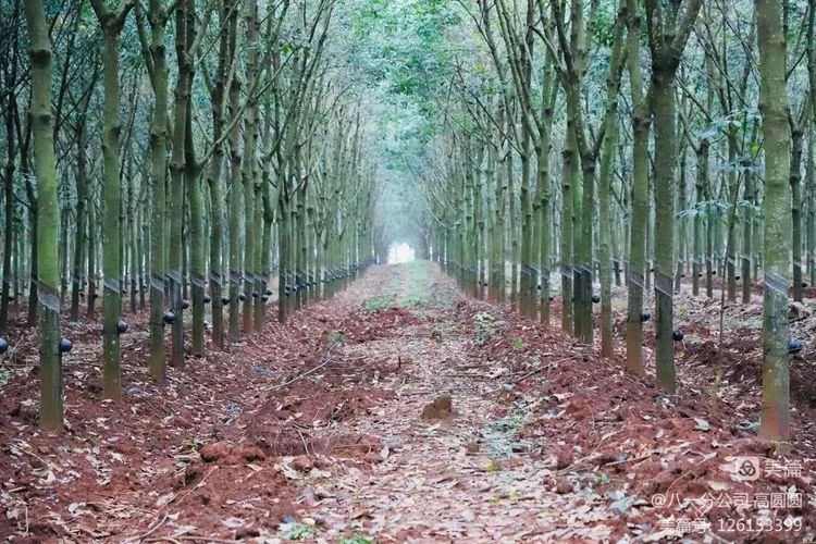 多多28·(中国平台)官方网站