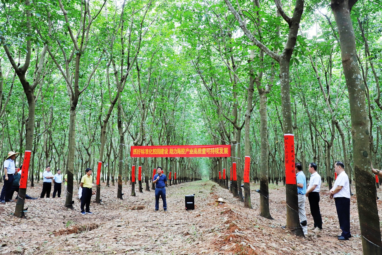 多多28·(中国平台)官方网站