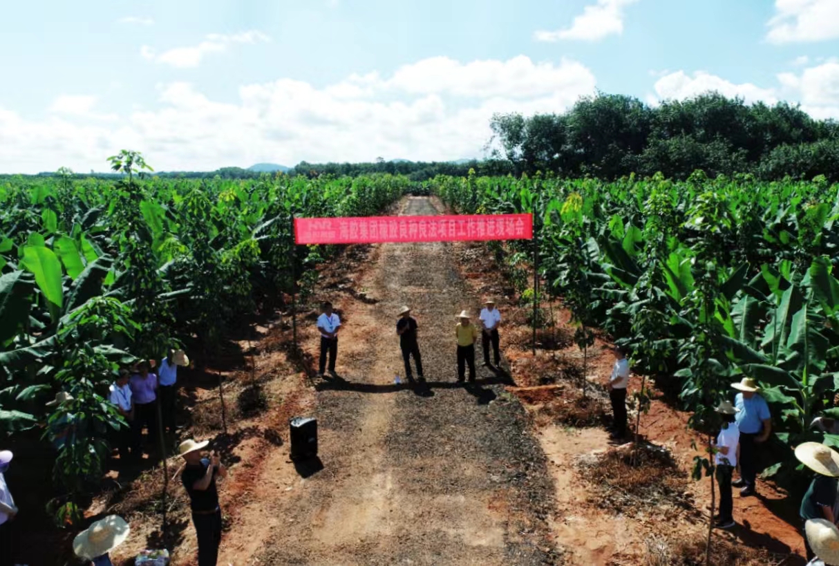 多多28·(中国平台)官方网站