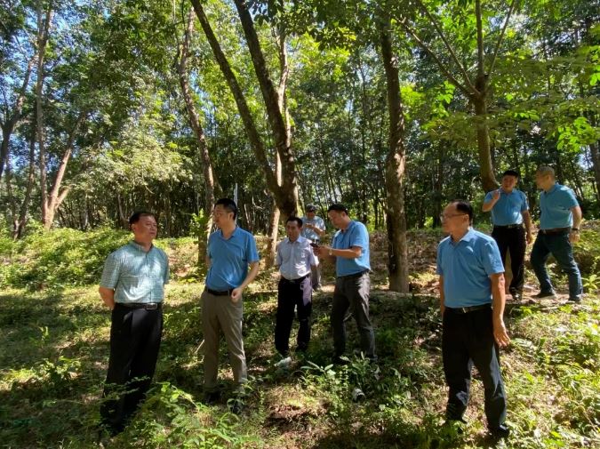 多多28·(中国平台)官方网站